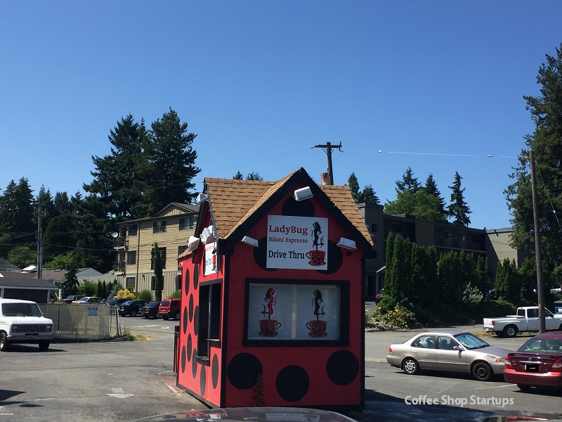 start a bikini barista stand