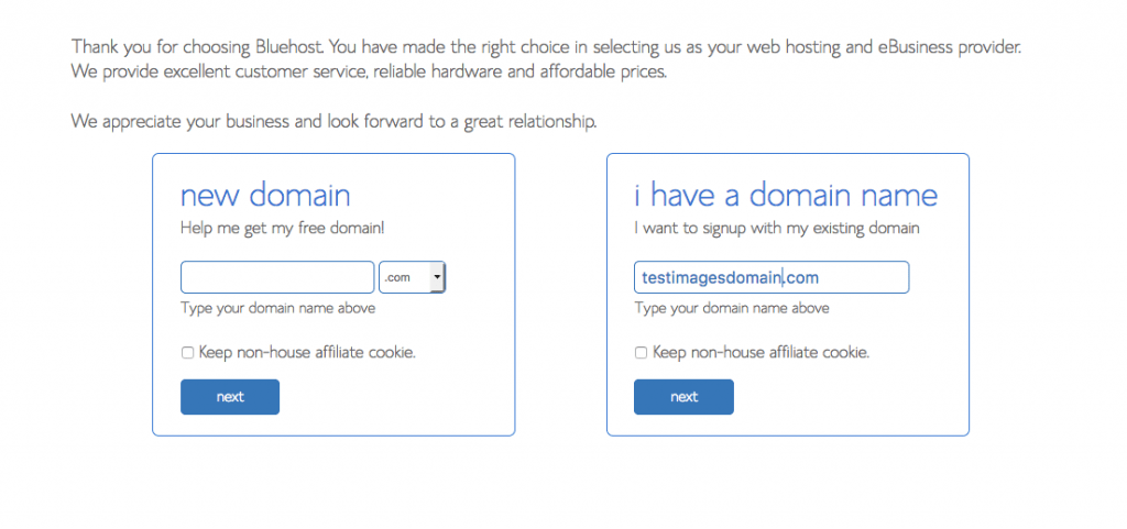 choose a domain name for your website