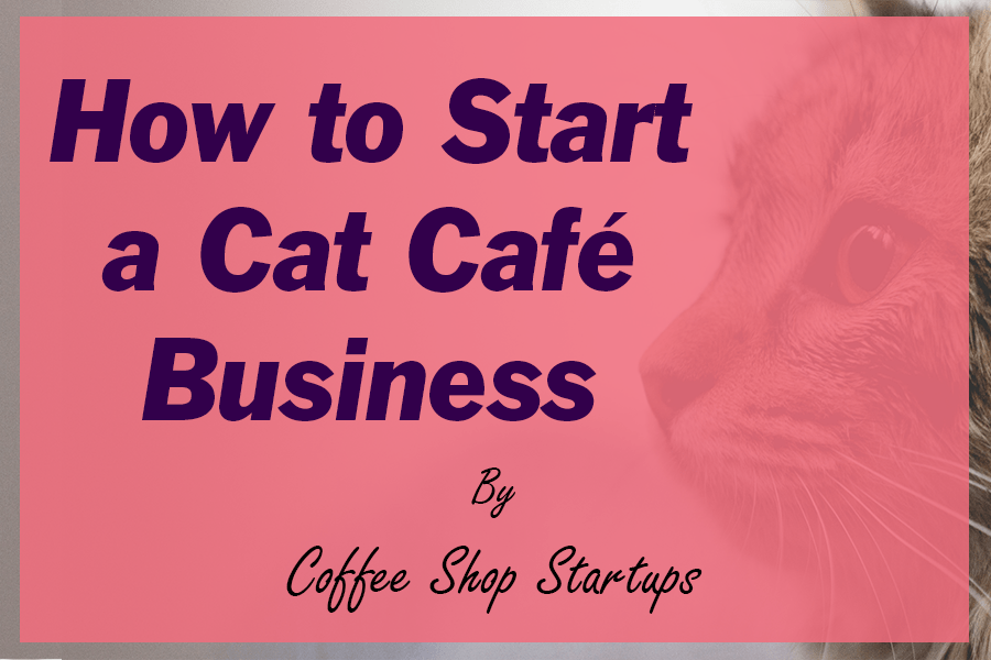 business plan for a cat cafe