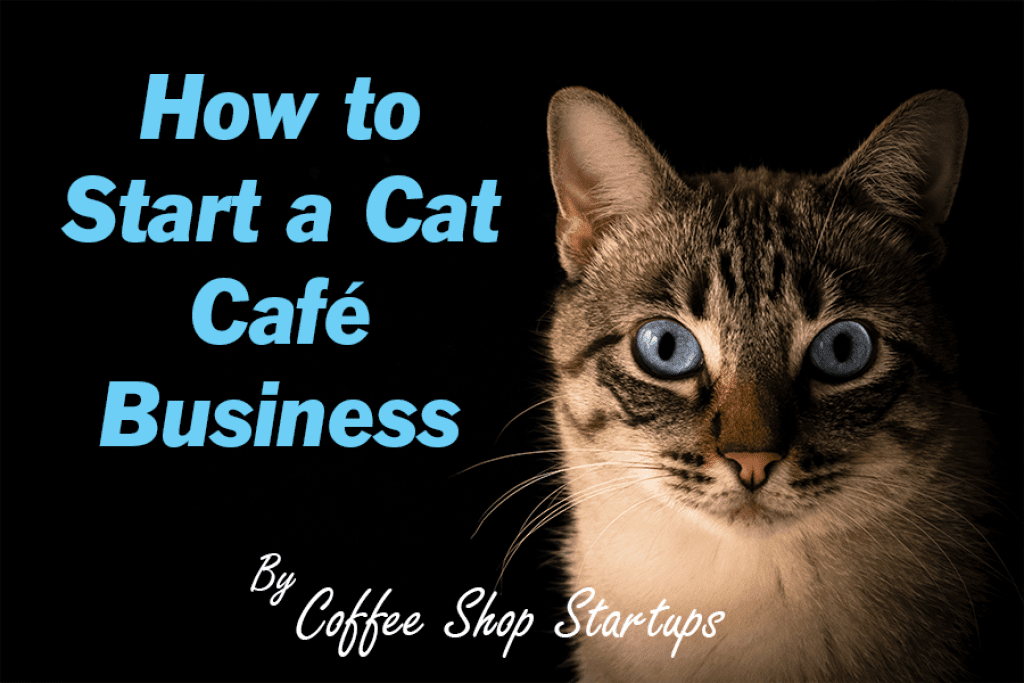 https://coffeeshopstartups.com/wp-content/uploads/2022/03/How-to-start-a-cat-cafe-business4-1024x683.png