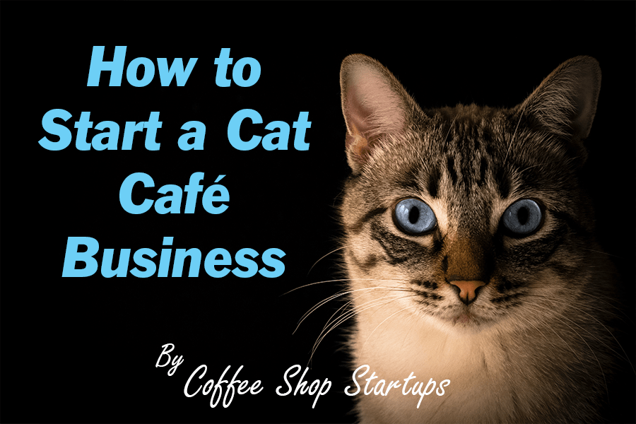 How To Start A Cat Cafe Coffee Shop Startups