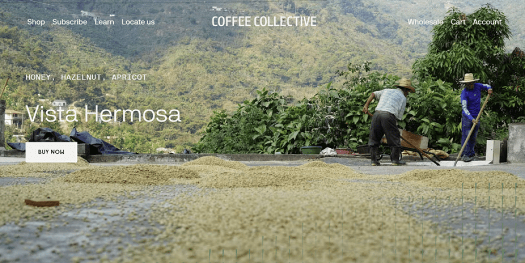 coffee collective website design